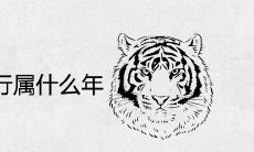 属虎2022年五行属什么年