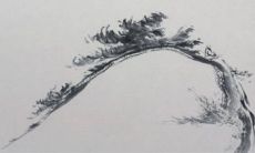 2023年属马破太岁怎么化解 安全第一佩戴饰品