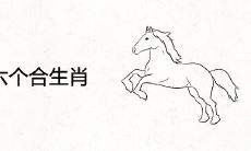 属马的六个合生肖是什么生肖