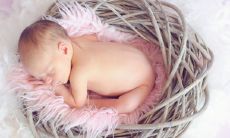 2022年哪些生肖合适生孩子 备孕成功几率大的属相