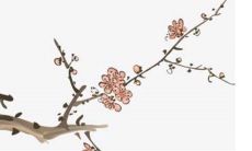 本命年运气为什么差 本命年水逆表现