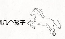 属马女命里有几个孩子