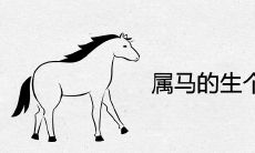 属马的生个虎宝宝好吗