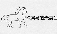 90年属马的夫妻生什么宝宝好