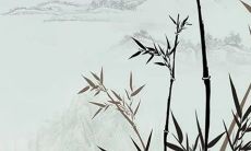 2023年上等日柱有哪些 2023年全年最好八字