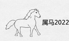 属马2022年适合生子吗