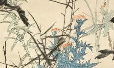 2022虎年腊月二十八出生的女宝宝命好不好 富贵荣华无忧无虑