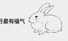 属兔哪个月最有福气