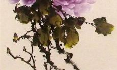 2022虎年腊月二十八出生的男孩命怎么样 一生衣食足用