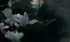 2023黑兔年出生的宝宝好不好 黑兔年几月份比较好