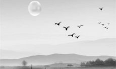 2023年是黑兔年命运好吗 黑兔年生孩子好吗