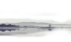 2023黑兔年生宝宝不好 为什么兔年不能生孩子