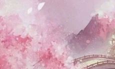 为什么是黑兔年不好 黑兔年怎么化解