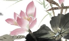 2023黑兔年要宝宝2024年龙年生好吗 要宝宝吉利吗