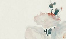 2023年闰二月兔命好不好 兔宝宝忌讳几月出生