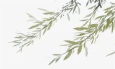 2023年什么八字五行比较好 日元丙火有财富