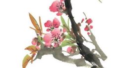 2022虎年腊月二十九出生的宝宝命运怎么样 财运兴旺聪明伶俐