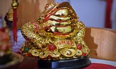 家居风水应该摆些什么物件消灾助财