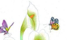 快结婚了可以去当伴娘吗 伴娘人选部分要求