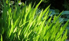 男孩姓朱有涵养的名字 姓朱的男宝宝起名