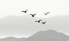 结婚当天男方父母穿什么衣服 穿着要喜庆正式