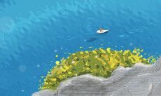 江苏无锡夏至吃什么?