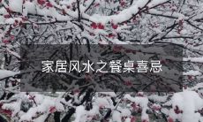 家居风水之餐桌喜忌