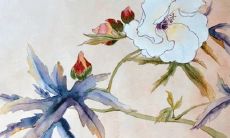 2022年1月7日是动土黄道吉日吗 好日子看八字