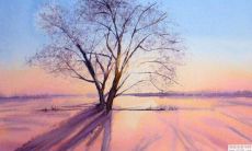 让家运兴旺的酒柜摆放风水