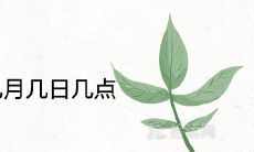 2020年大雪是几月几日几点 2021年二十四节气查询表