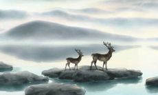 2022年1月13日这天建房动土吉利吗 此日动土日子好吗