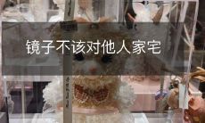 镜子不该对他人家宅
