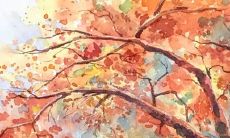 生肖属牛2022年公历6月动土黄道吉日一览表 建房动工佳期