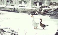 2022水虎年公历6月生肖属兔动土好日子 阳宅开工吉日