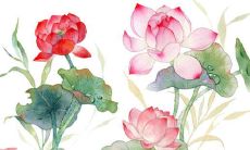 2022年6月份生肖属猴动土吉利日子查询 建房开工吉利时机