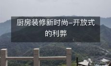 厨房装修新时尚-开放式的利弊