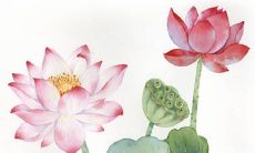 良辰吉日:2022虎年6月份生肖属蛇最佳动土黄道日子一览