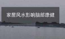 家居风水影响脑部康健