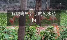 解脱晦气娶亲的风水结构