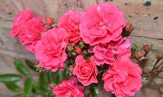 2022男孩起名字大全 好名字任你选