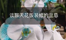 谈聊天花版装修的宜忌