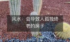 风水:会导致人孤独终老的房子