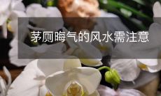 茅厕晦气的风水需注意