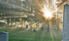 属虎女八字入格是什么意思 属虎女命运分析