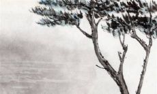 2022年12月27日特吉生肖查询 今日属什么生肖