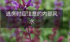 选房时应注意的内部风水