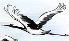 2022年12月24日平安夜属什么 特吉生肖是哪几个