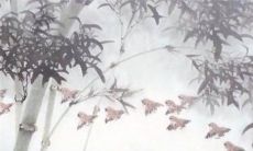 2022年12月23日生肖运势:特吉生肖带衰生肖查询