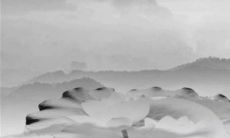 2023年黑兔年适合生孩子吗 添丁之喜平安喜乐