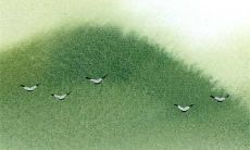 2022年12月25日圣诞节冲煞生肖情况 特吉生肖查询